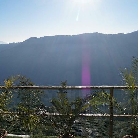 Nirala Guest House Darjeeling (West Bengal) Exterior foto